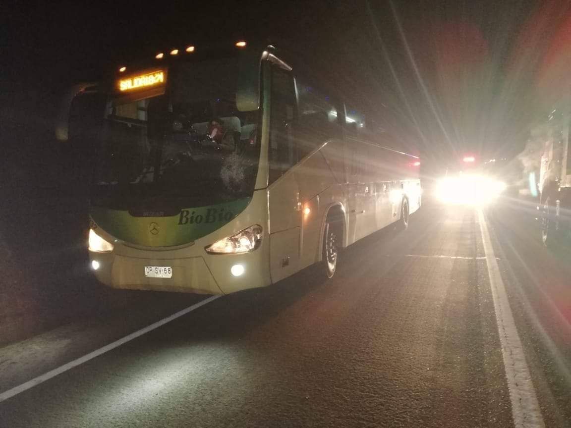 Persona murió atropellada por un bus en  la Ruta de la Madera