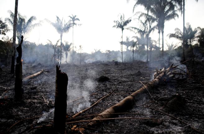 Amazonia en llamas: 16 días de incendios devastan el pulmón verde de América Latina