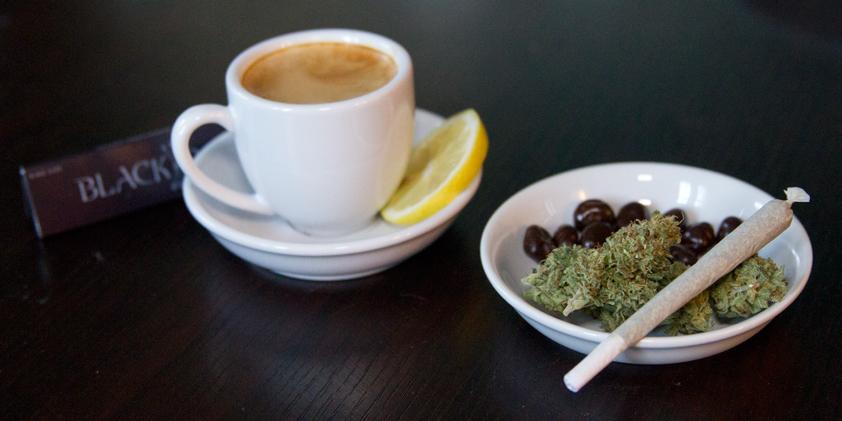 Mormones aceptarán consumo de marihuana pero no consumir café ni té
