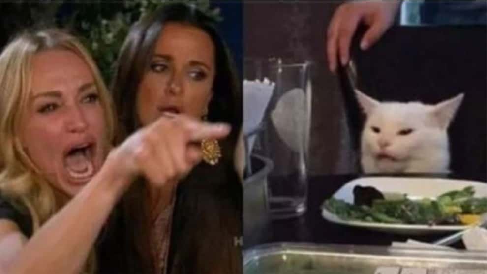 Está en todos lados: El meme del gato se tomó las redes sociales y este es su origen