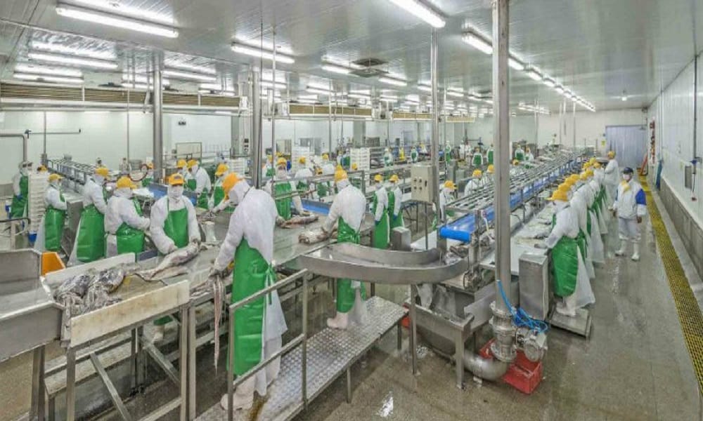 Duro golpe: PacificBlu confirmó cierre de su planta de jibia y el despido de 367 trabajadores en Talcahuano