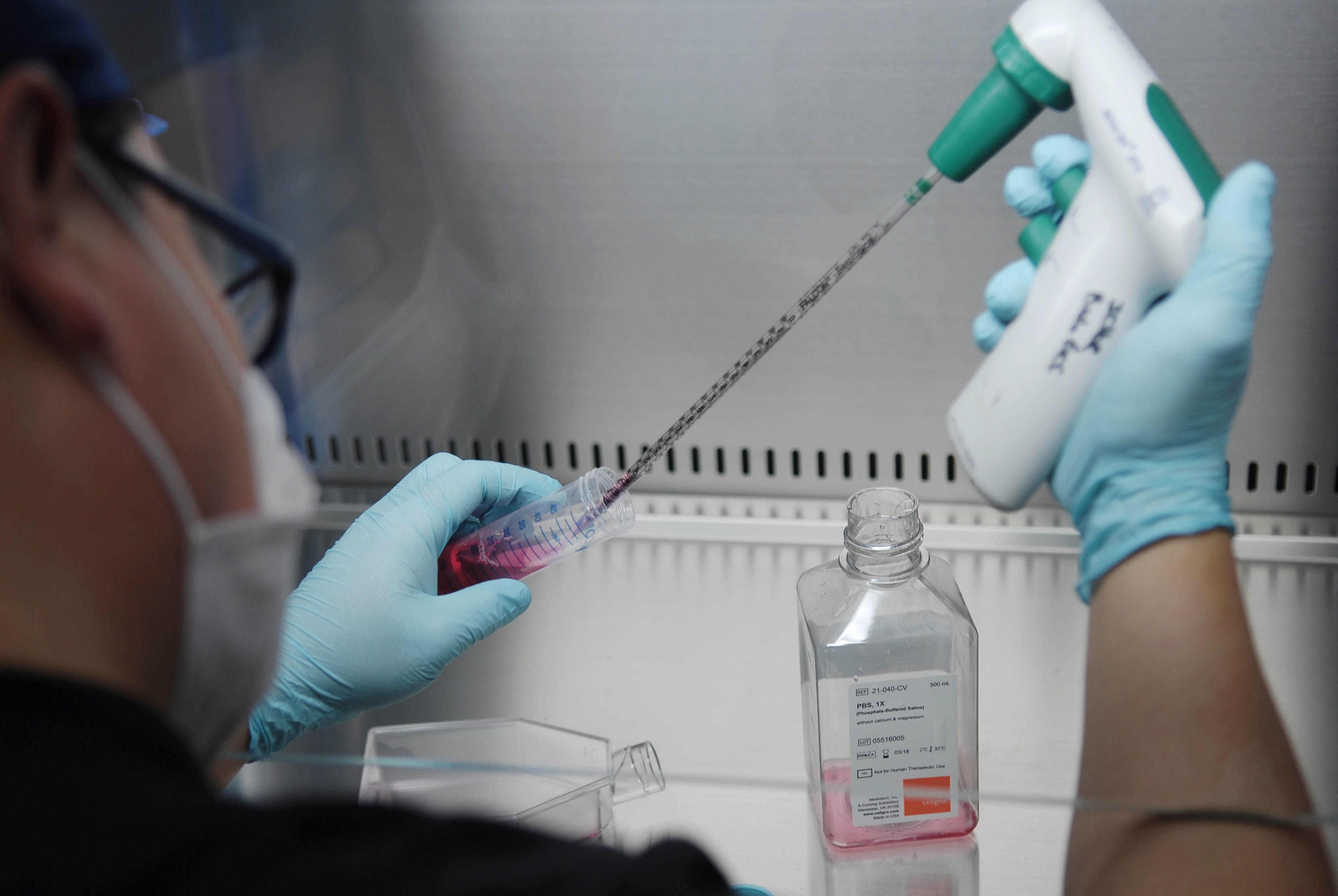 El exitoso rol de la inmunoterapia en el tratamiento del cáncer