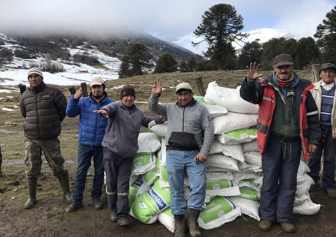 INDAP finaliza la entrega de alimento concentrado en ayuda de agricultores de Alto Biobío