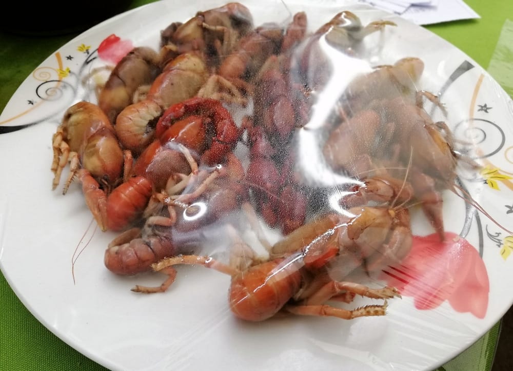Con masiva concurrencia se celebra la ‘Gran Camaronada 2019’ en Florida
