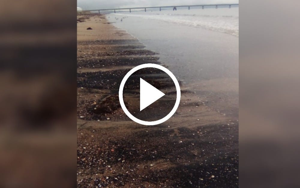 Supuesto varamiento de carbón en playa de Penco preocupa a vecinos