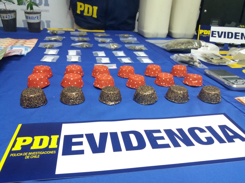 “Catadores” de marihuana en Concepción aplaudieron entrada de la PDI: Pensaron que era parte del show