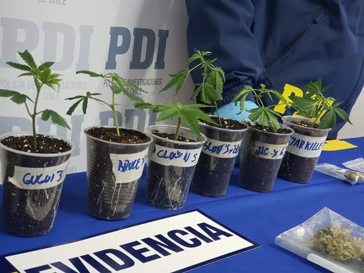 Gobierno buscará cerrar todos los locales en que se realicen “catas” o vendan droga en Concepción