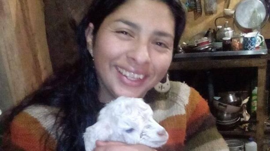 Informe internacional descarta suicidio y establece que activista mapuche la colgaron para simular autoatentado