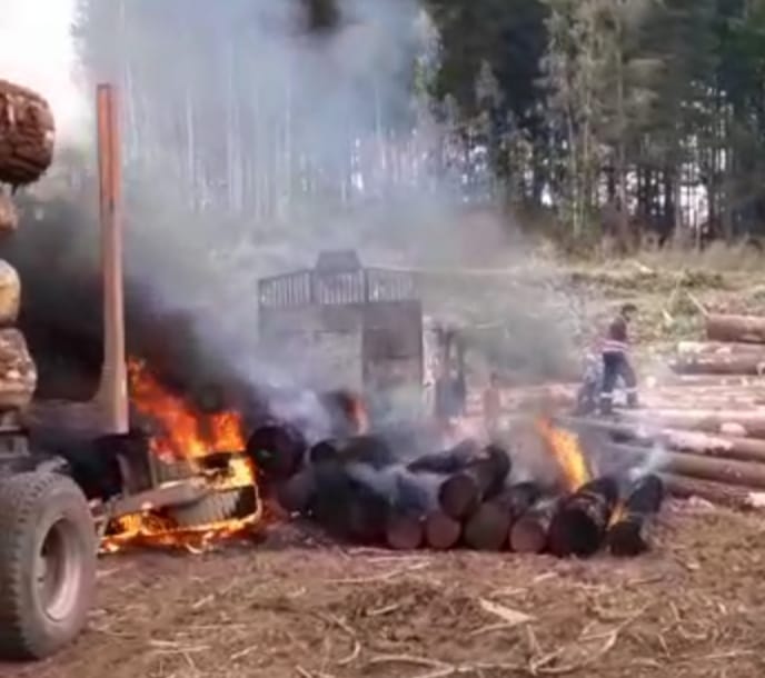 Cuatro máquinas fueron quemadas en ataque a fundo de Mininco en Contulmo