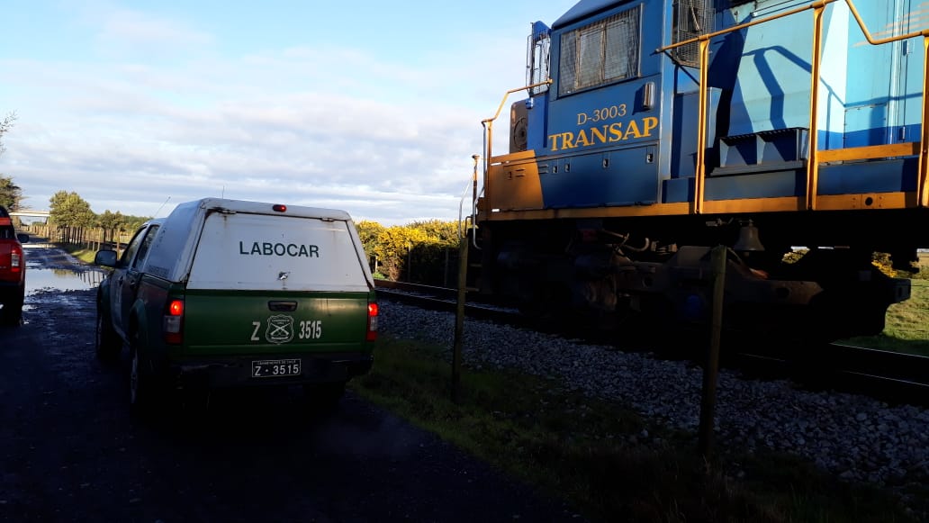 Fatal atropello: adulto mayor fallece tras ser impactado por tren de carga en Penco