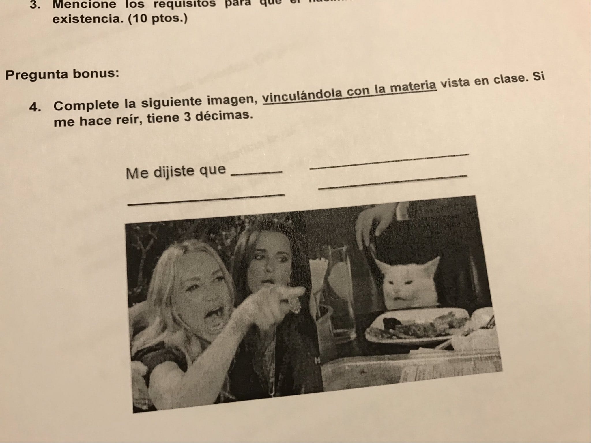 Meme del gato apareció en test de Derecho de la UDD Concepción y la rompió