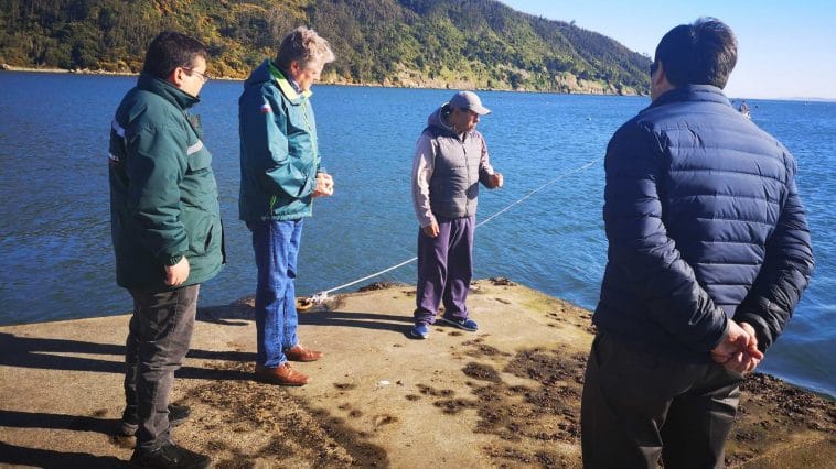 Autoridades conocen infraestructura para desembarco de animales desde Isla Santa María a Arauco