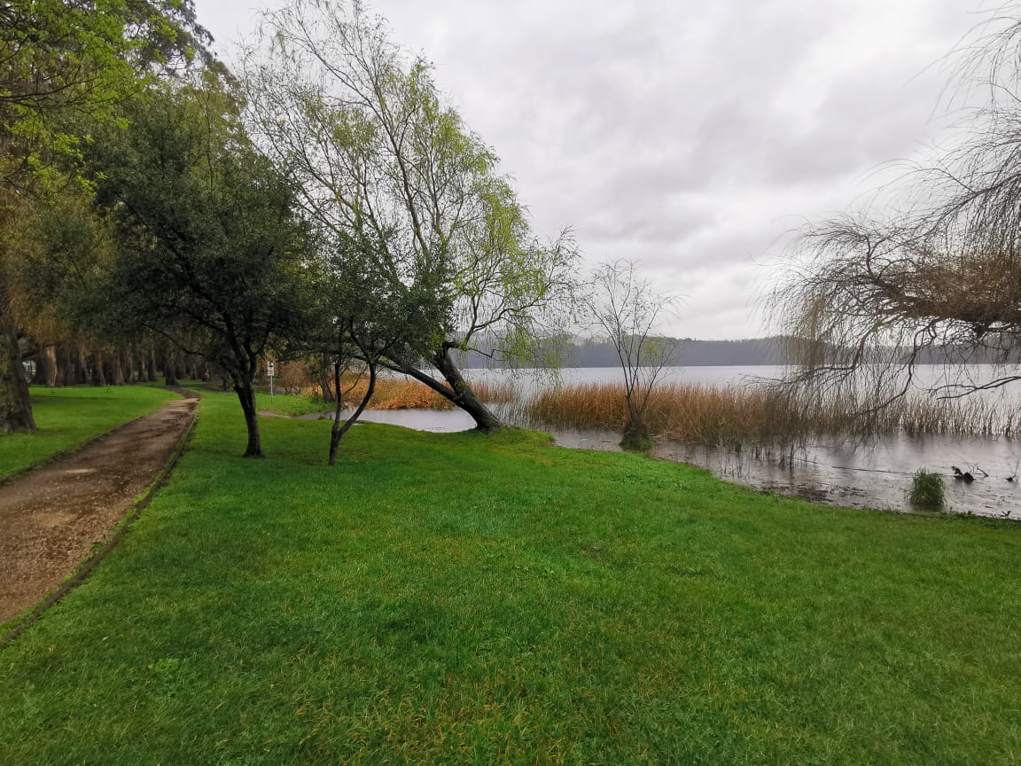 Entregan expediente para declarar a la Laguna Grande y Humedal Los Batros Santuario de la Naturaleza