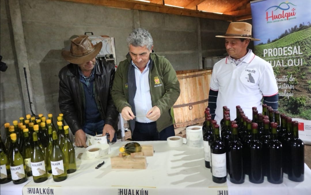 Vino de Hualqui busca llegar a la mesa de todos los chilenos