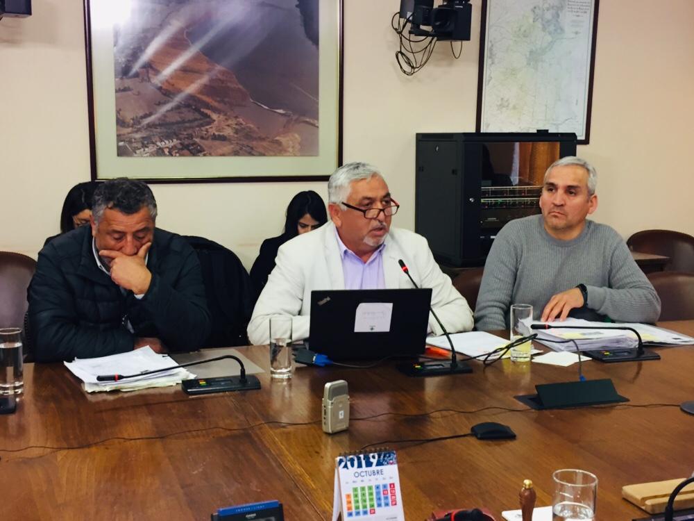 “Tucas” de Coronel expusieron en comisión que investiga contaminación por asbesto