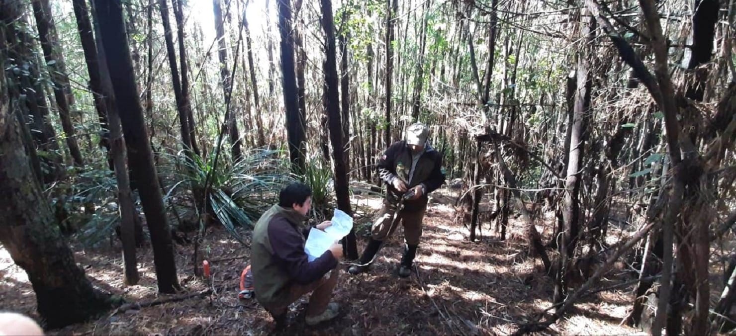 Inician nueva etapa de monitoreo de fauna en la Reserva Nonguén