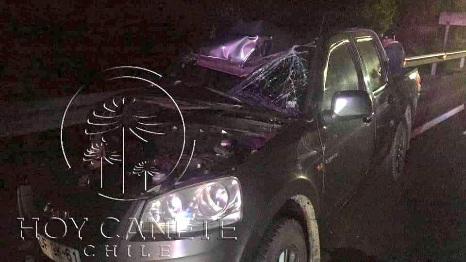 Dos muertos dejó choque de una camioneta con un caballo en el Biobío