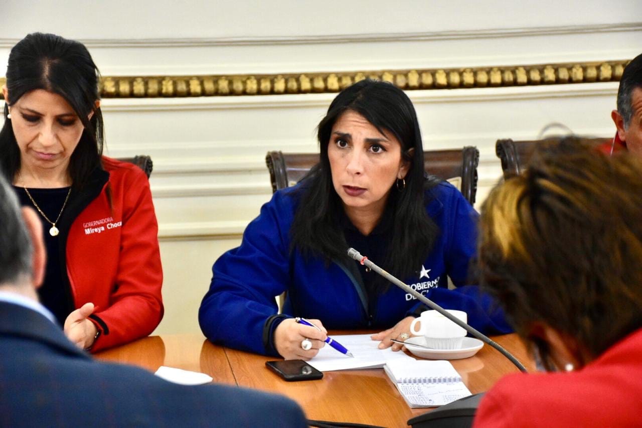 Intendenta Rubilar confirma que van 11 muertos tras fin de semana de movilizaciones