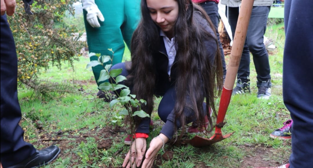 Plantan nuevos árboles nativos en el Parque Pedro del Río Zañartu