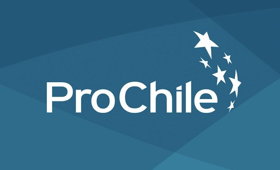 Escándalo en ProChile Biobío: Denuncian millonarias malversaciones en periodo de ex director