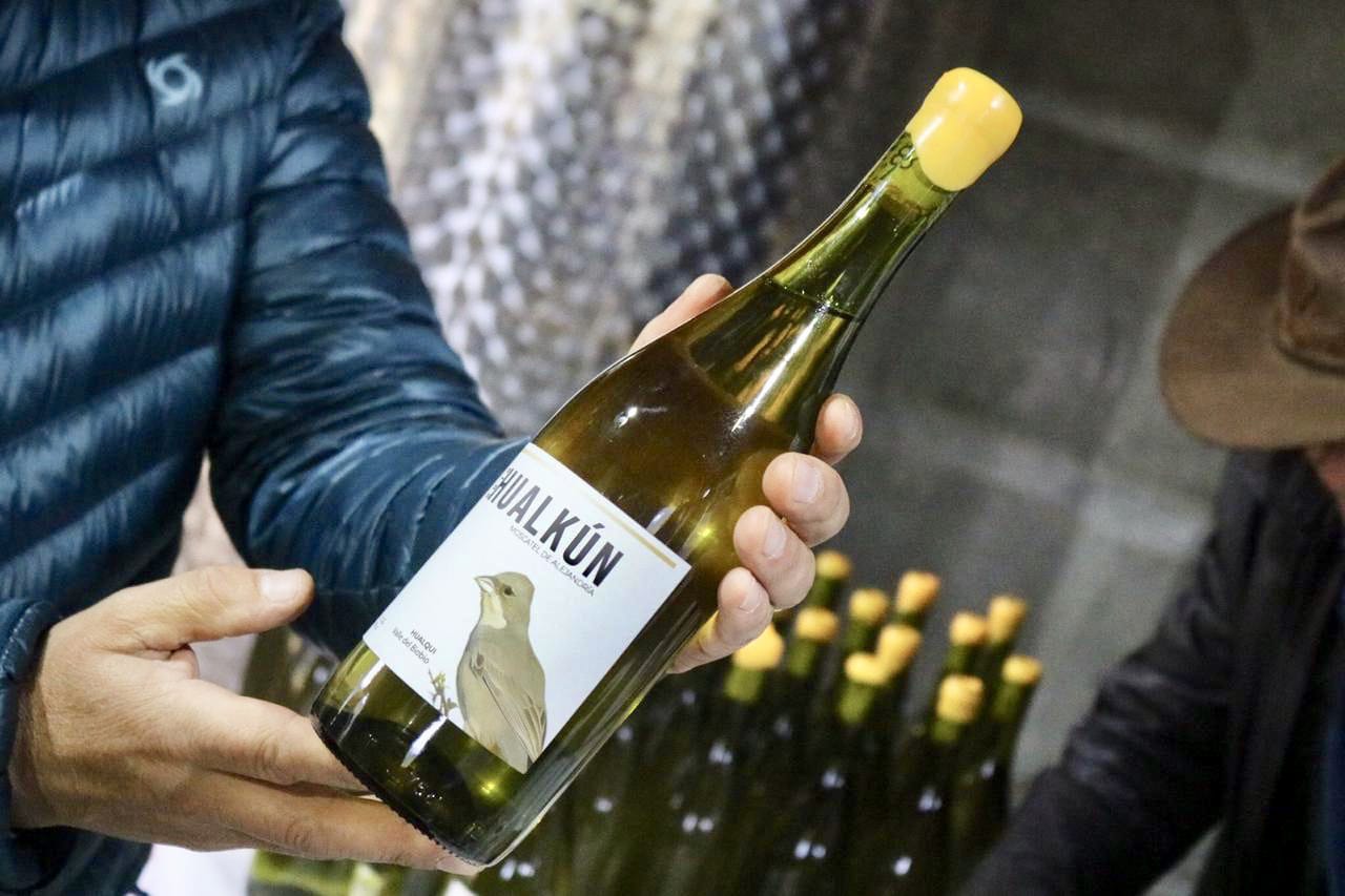 Viñateros de Hualqui presentan vinos biodinámicos con apoyo de INDAP