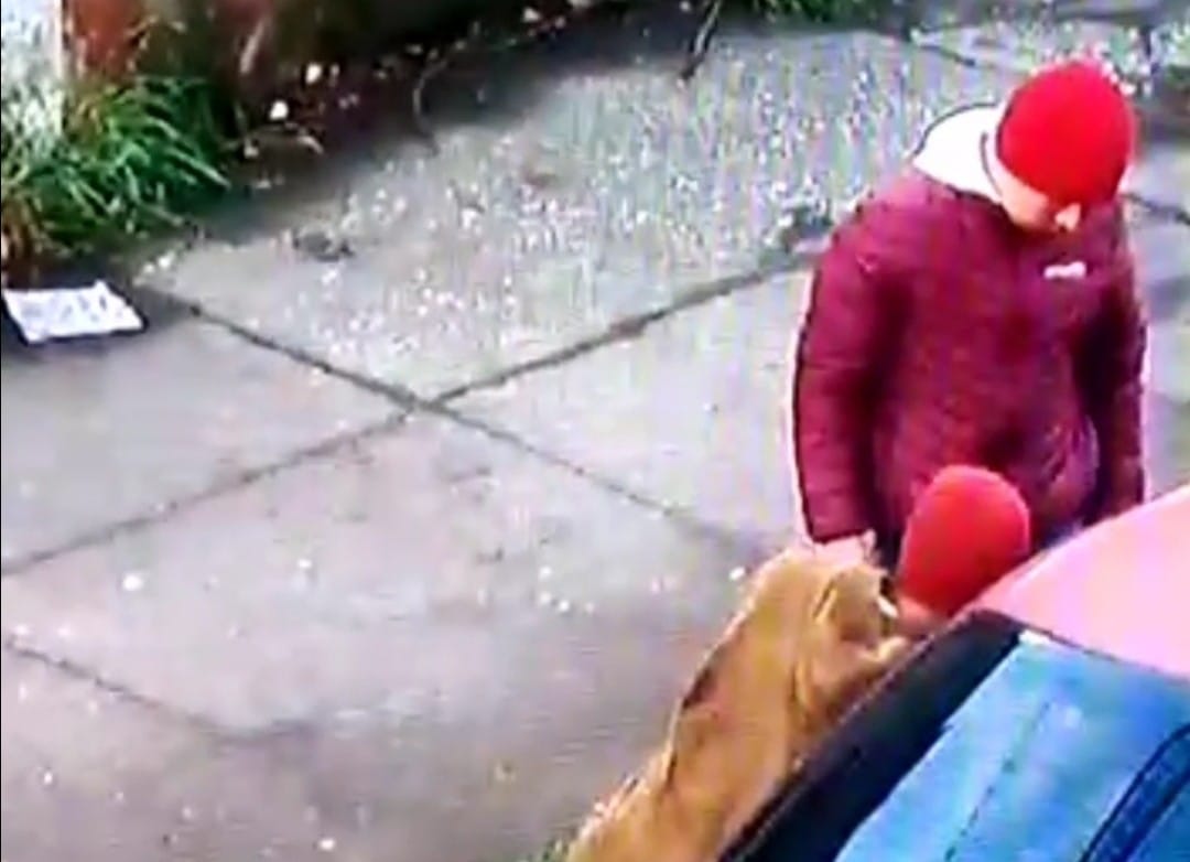 Captan espectacular detención de sujetos que intentaban robar vehículo en Concepción 