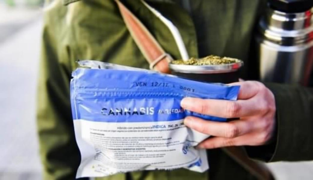 Uruguay comienza a exportar marihuana para uso medicinal
