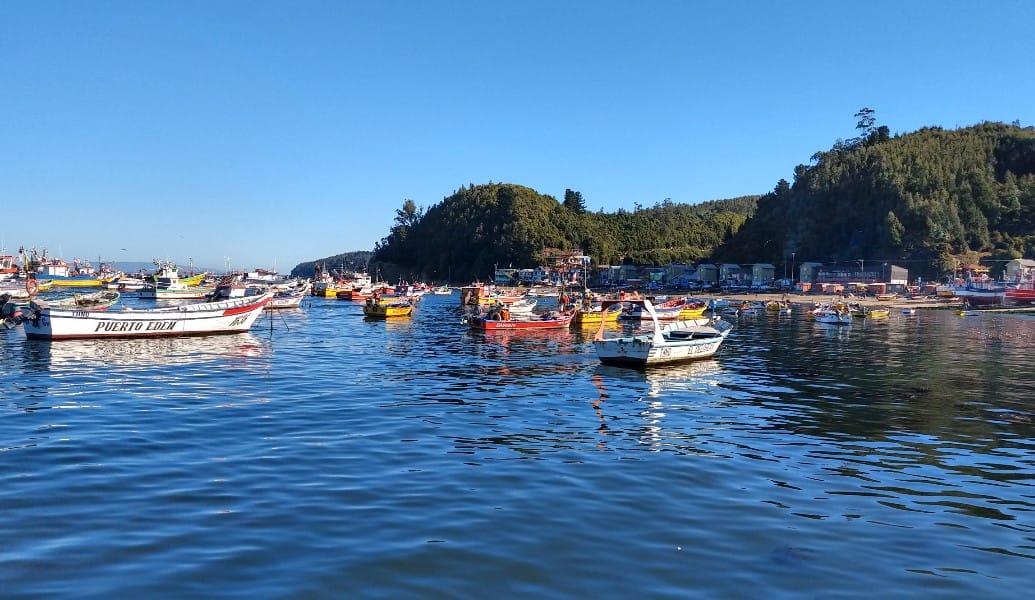 Polémica por traspaso de cuotas: Artesanales alzan la voz a la Comisión de Pesca