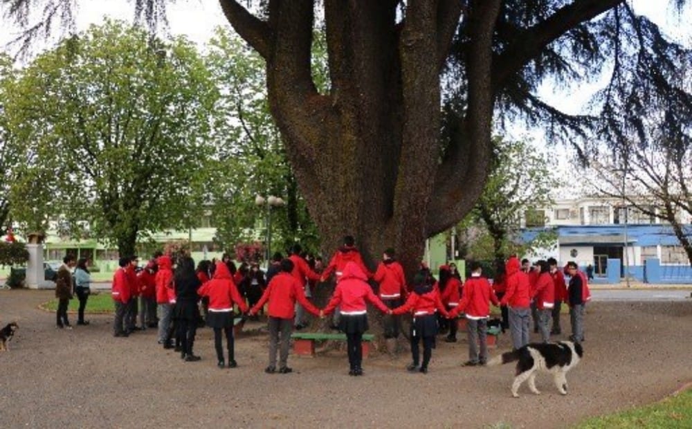 Interescolar Ambiental brinda posibilidad a estudiantes del Biobío de conocer a Greta Thunberg