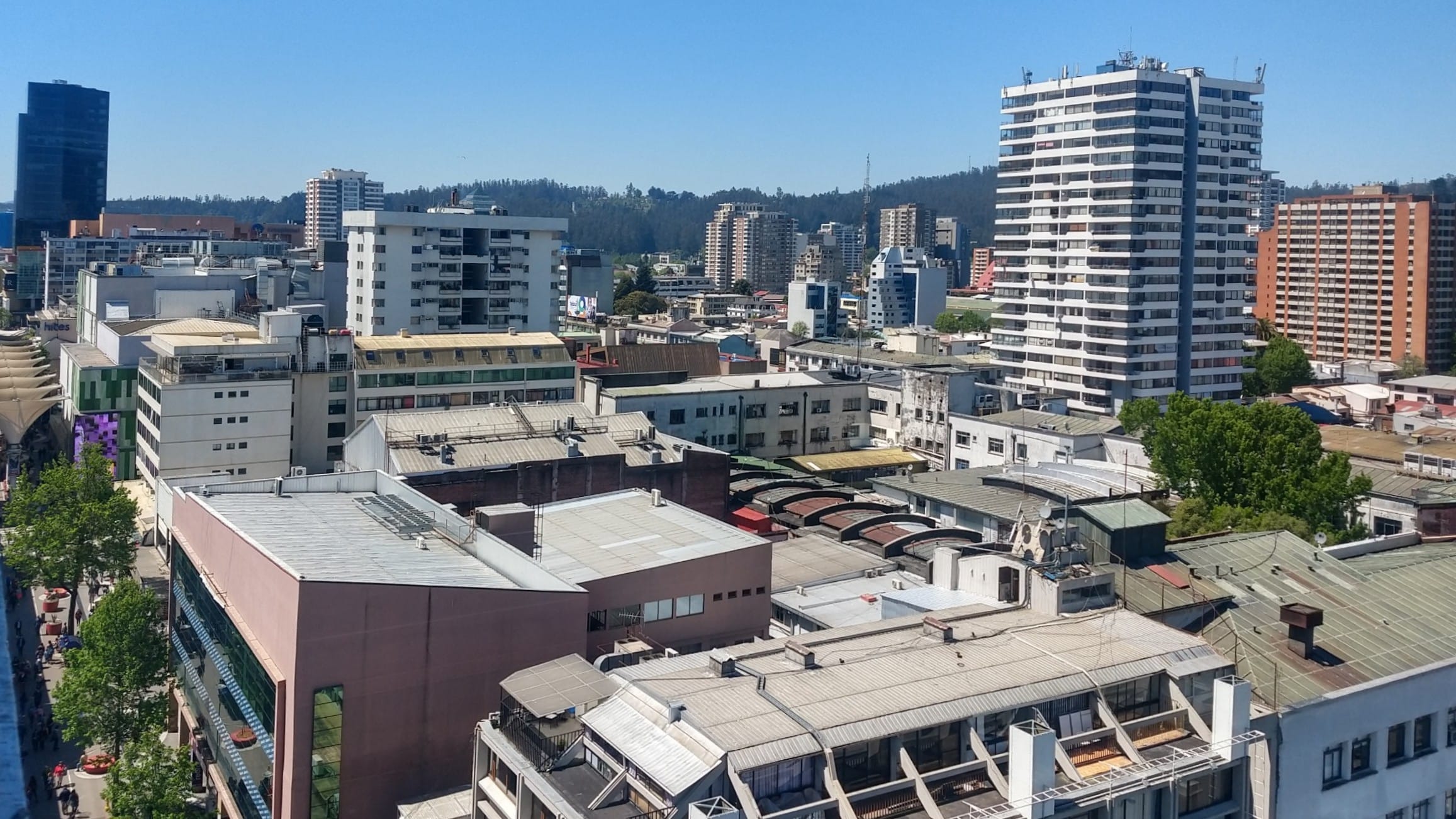 Altura de edificios no es prioridad para penquistas: Revelan resultados de encuesta Adimark-CChC