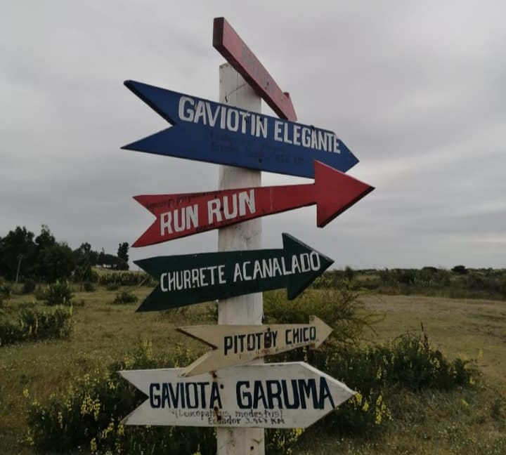Biobío tiene su primera Ruta de los Humedales: Conoce cuáles son y donde están