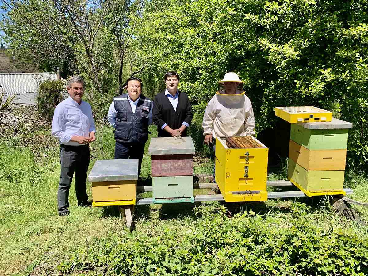 Inauguran máquina estampadora de cera que beneficiará a apicultores del Biobío