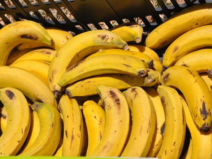 Economía por plátano a $1.000: “Hay gente que trata de maximizar sus utilidades a través de la especulación”