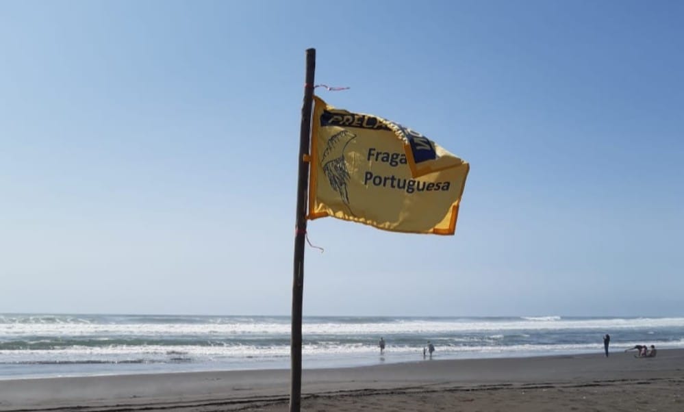 Levantan prohibición de funcionamiento de playa del Biobío que tuvo fragata portuguesa