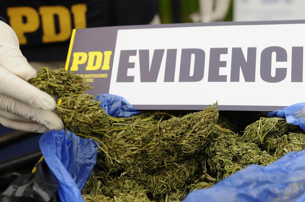 Viajaba desde Concepción con drogas para vender en fiesta electrónica: fue arrestado