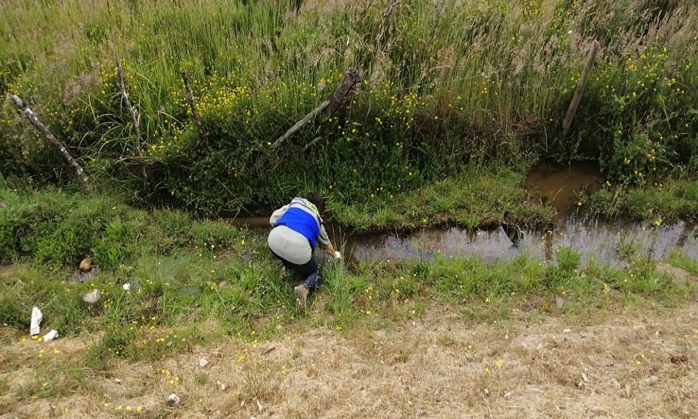 Abren sumario por camión repartidor que volcó y vertió petróleo en estero de Santa Juana