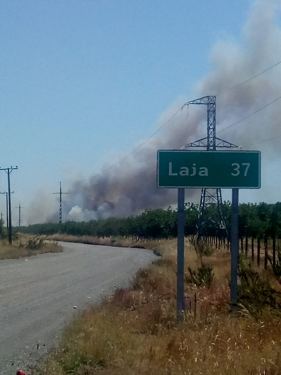 Decretan Alerta Amarilla para Los Ángeles por incendio forestal cercano a sectores poblados