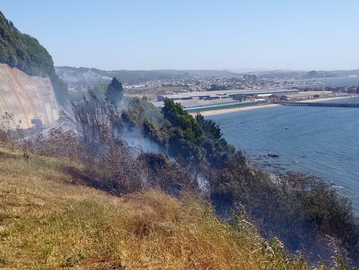 Decretan Alerta Amarilla en Penco por incendio forestal en sector La Cata
