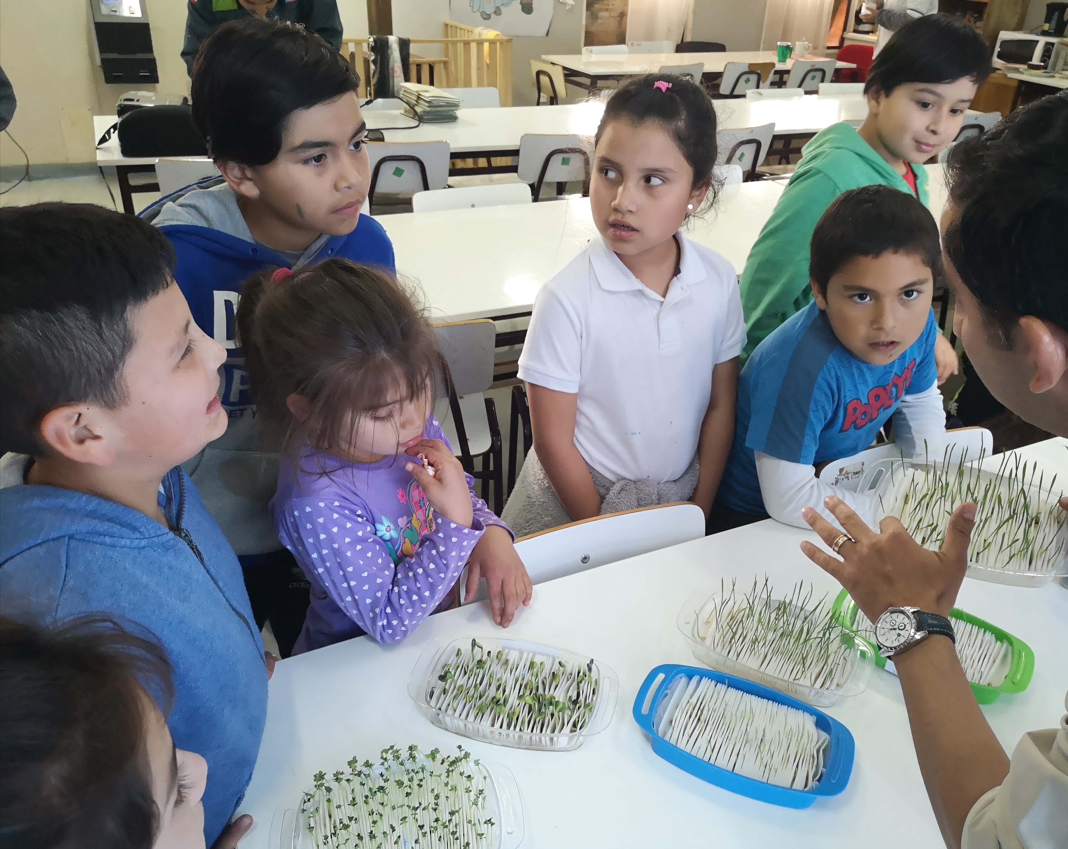 Niños de Escuela Alhuelemu aprenden sobre producción de semillas