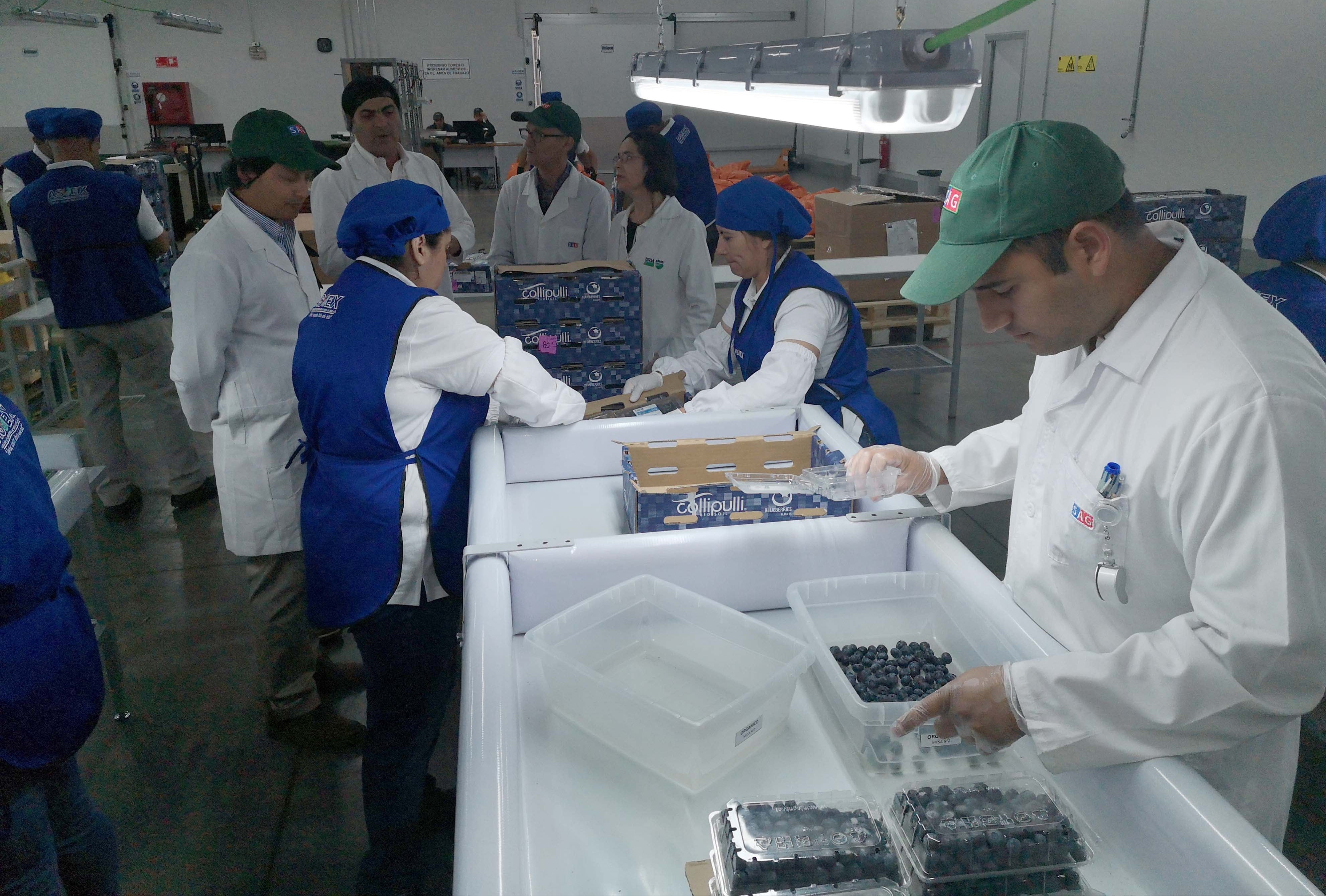 Comenzó temporada de inspección y exportación de fruta fresca a Estados Unidos