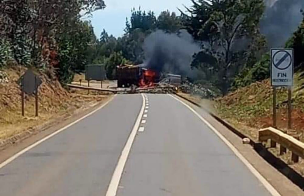 Forestales se sienten aún más abandonados en la zona de conflicto territorial