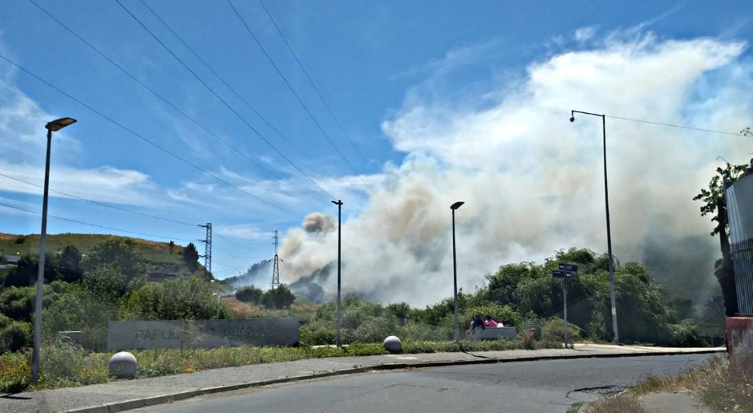 Bomberos de Concepción combate violento incendio en el cerro Santa Sabina