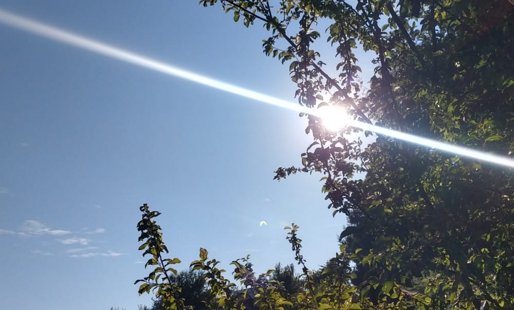 Emiten aviso por nueva ola de calor que afectará al Biobío 