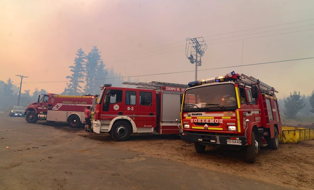 Cuatro incendios forestales de relevancia están activos en el Biobío
