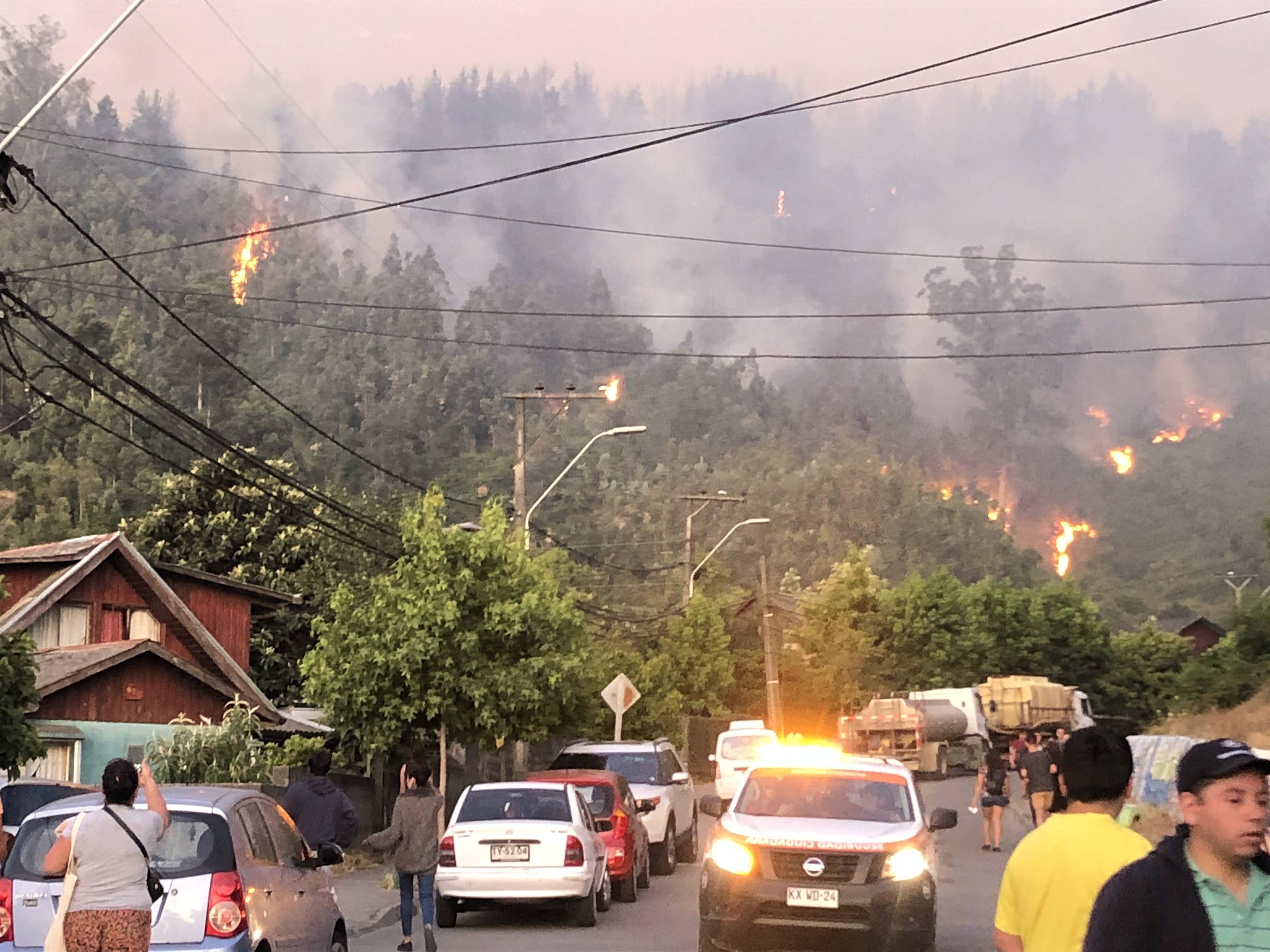 Primera jornada de incendios en Chiguayante: No se registraron casas quemadas