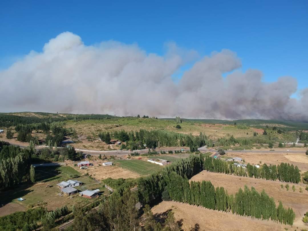 Cancelan Alerta Roja para Laja por incendios forestales: Bajó a Amarilla tras contención del fuego