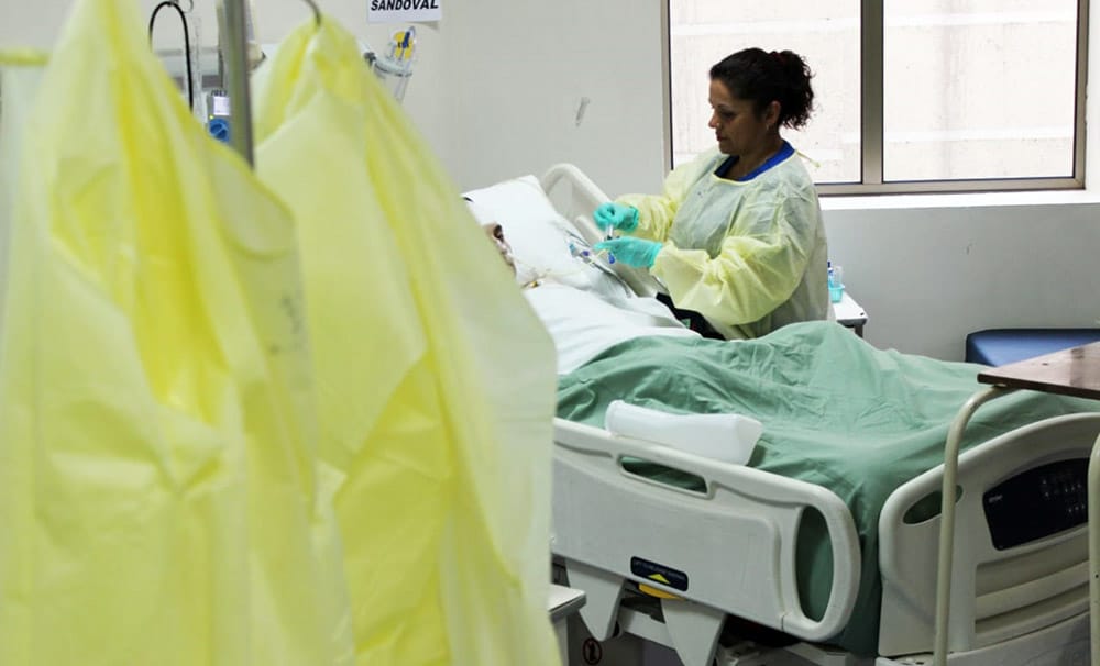 Mujer de 36 años es la primera fallecida por virus hanta del 2020 en el Biobío