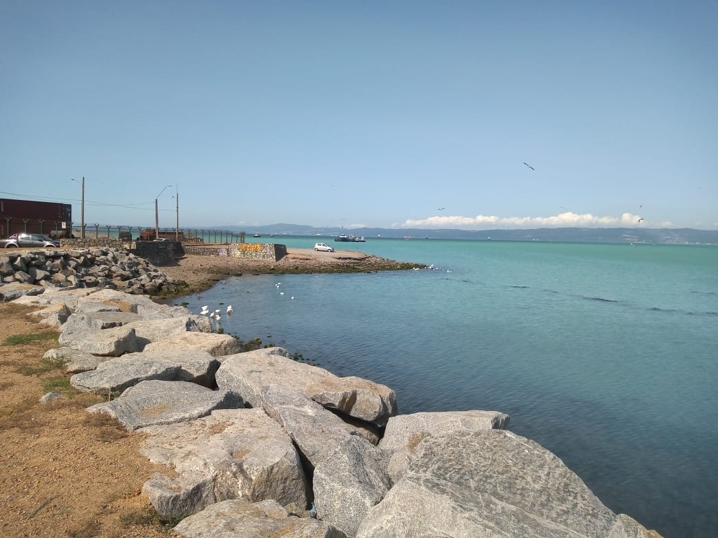 Mar color turquesa sorprende nuevamente en Talcahuano