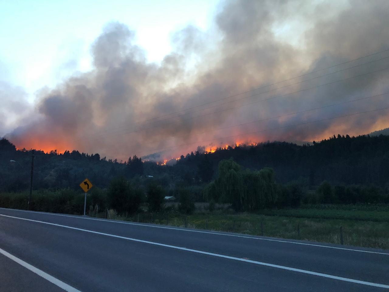 600 hectáreas quemadas y al menos 5 casas afectadas dejan incendios forestales durante este jueves en el Biobío