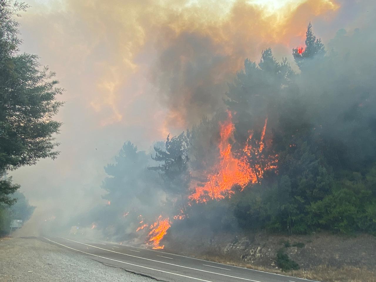 Sigue la Alerta Roja para Santa Juana, Cabrero y Nacimiento por incendios forestales
